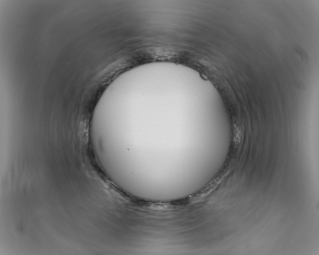X0000111360666200907100957