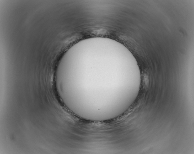 X0000111360668200907100957