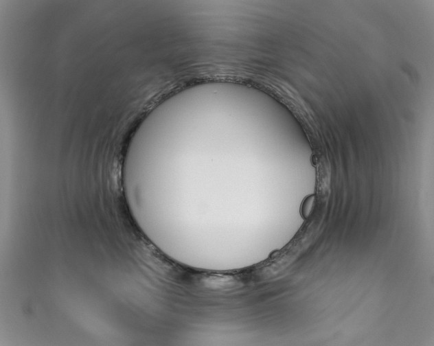X0000111360669200907100957