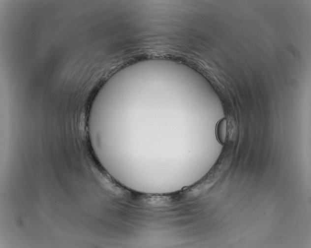 X0000111360670200907100957