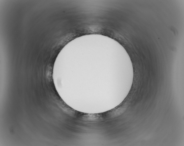 X0000111360672200907100958