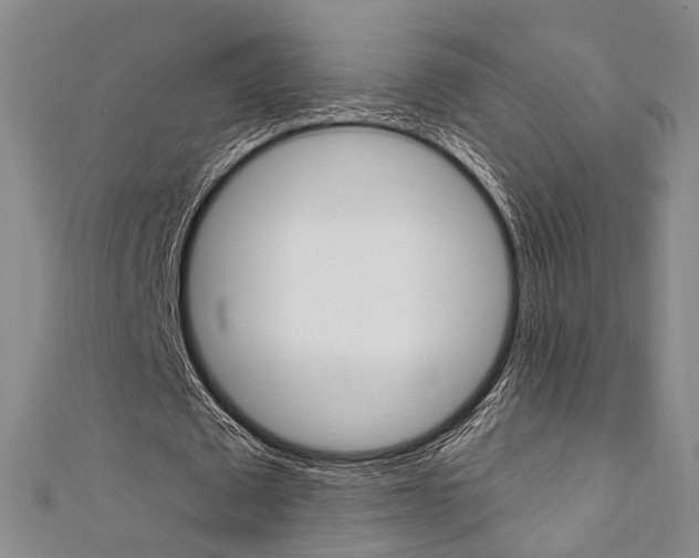 X0000111360673200907100957