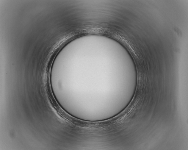 X0000111360674200907100957