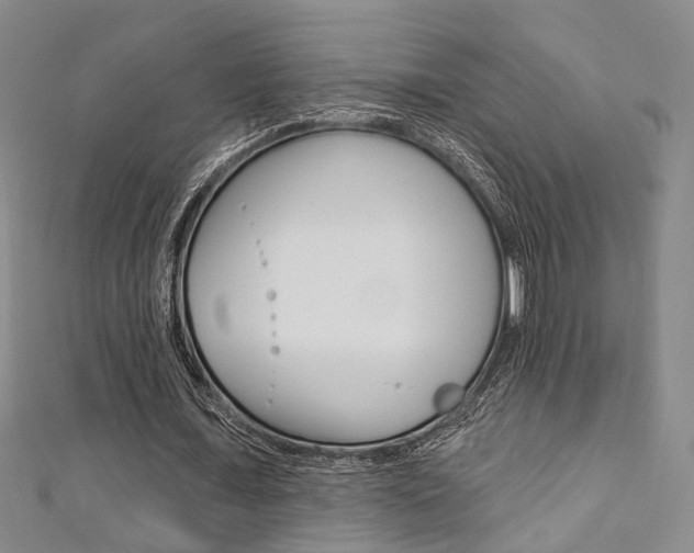 X0000111360675200907100957
