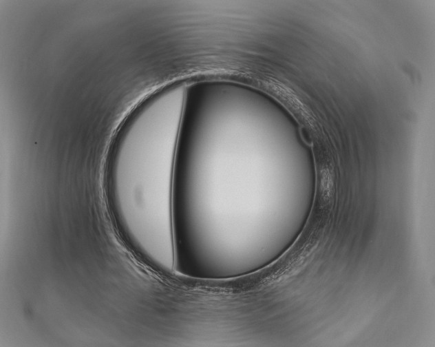 X0000111360676200907100957