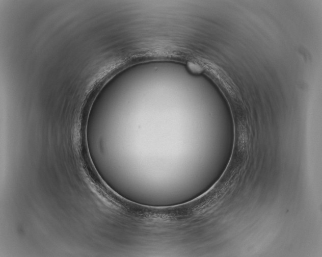 X0000111360677200907100957