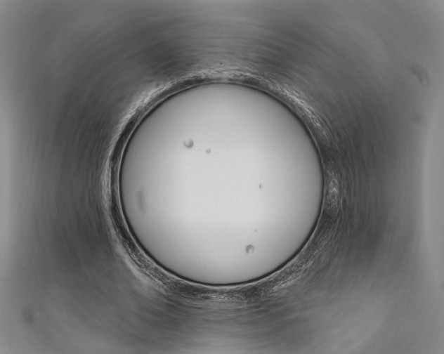 X0000111360678200907100957