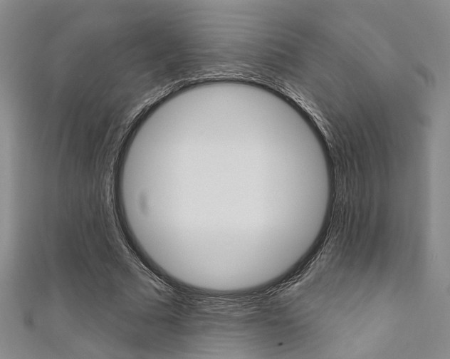 X0000111360681200907100957