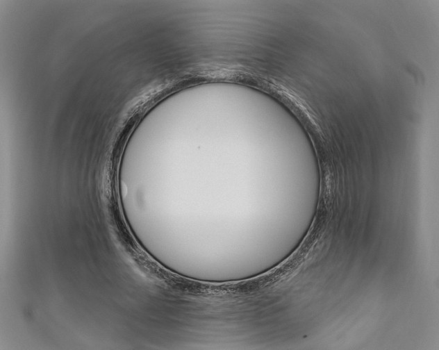 X0000111360682200907100957