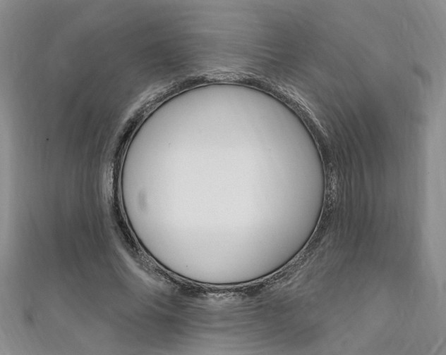 X0000111360686200907100956