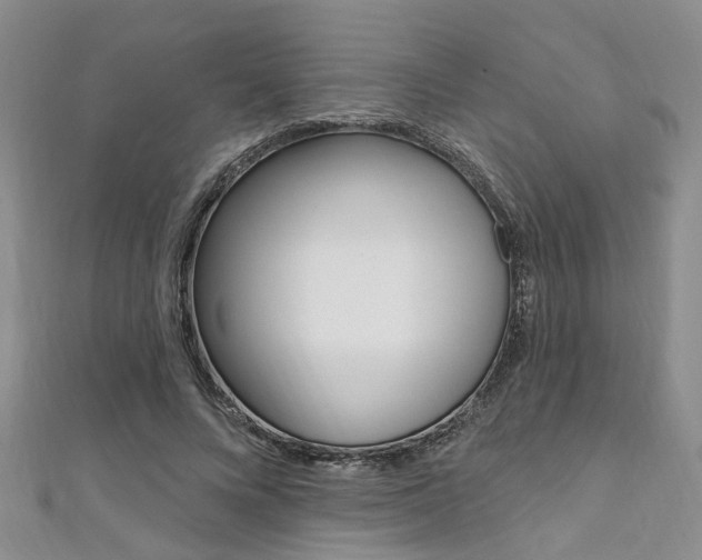 X0000111360688200907100956