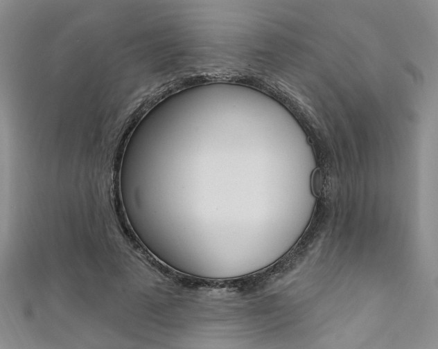 X0000111360689200907100956
