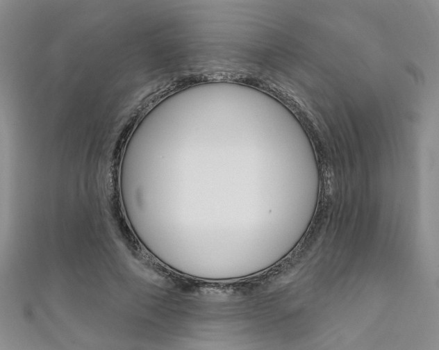 X0000111360690200907100956