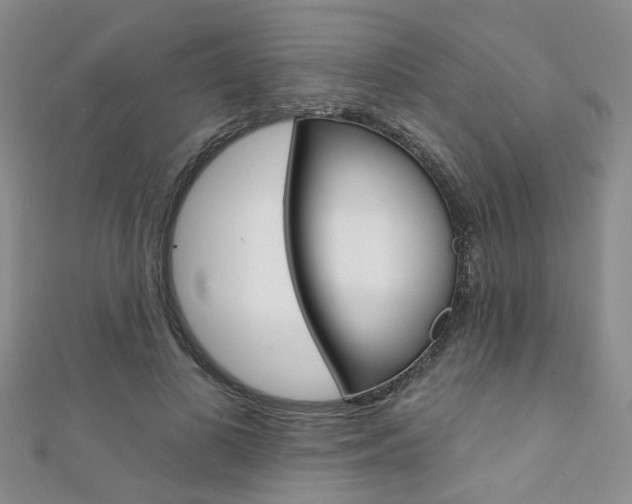 X0000111360693200907100956