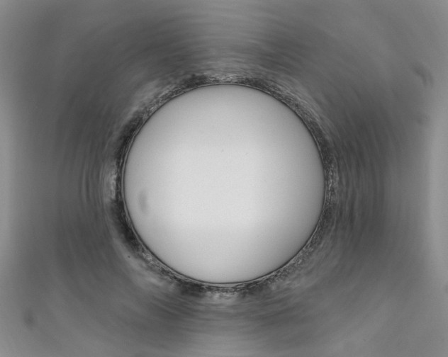 X0000111360694200907100956