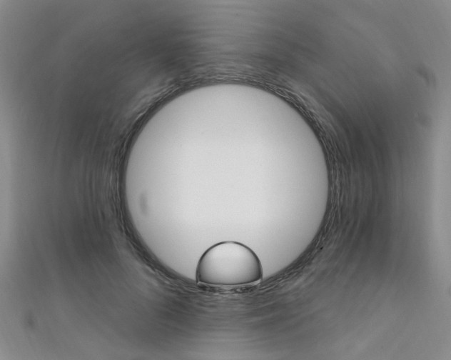 X0000111360696200907100956