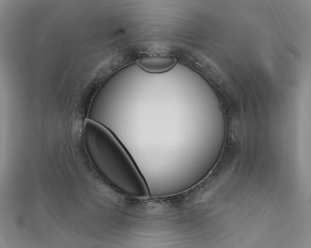X0000111360697200907100956