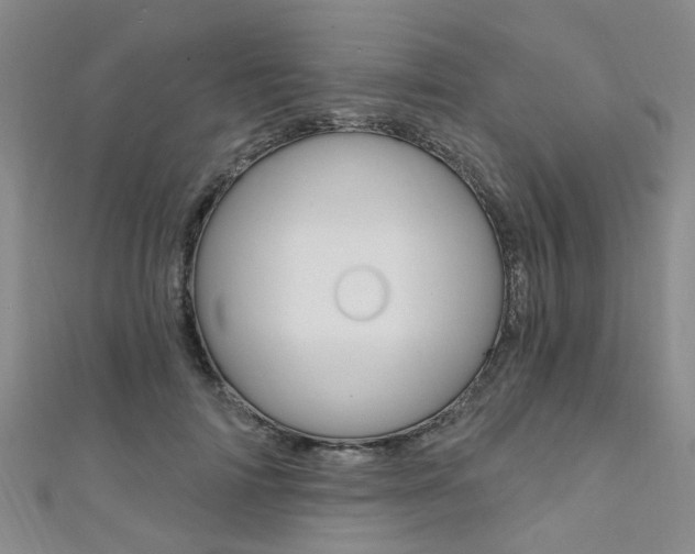 X0000111360698200907100956