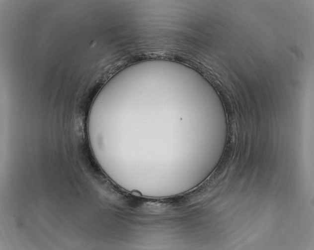 X0000111360699200907100956