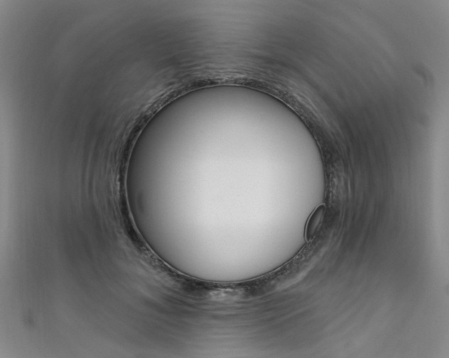 X0000111360700200907100956
