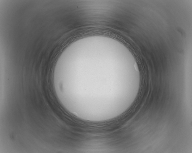 X0000111360701200907100956