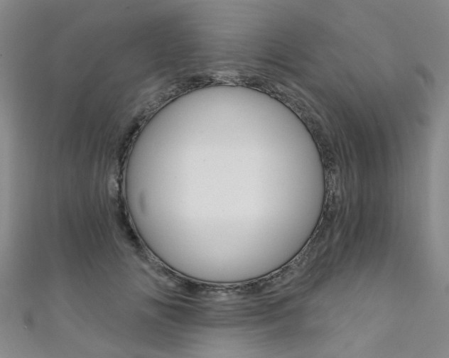 X0000111360702200907100956