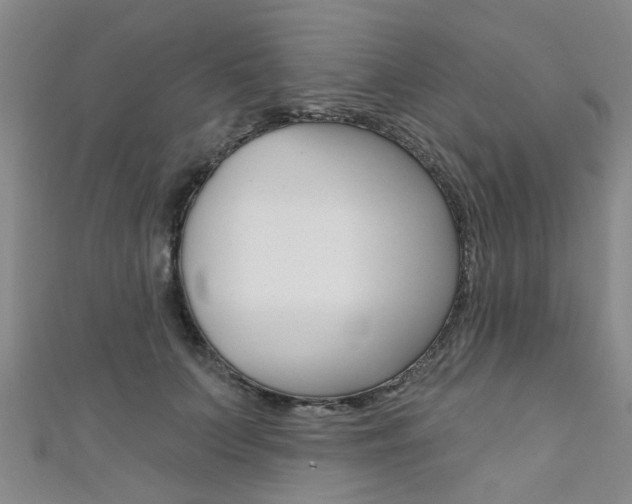 X0000111360703200907100956