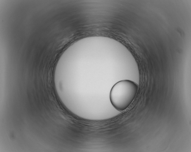 X0000111360704200907100956