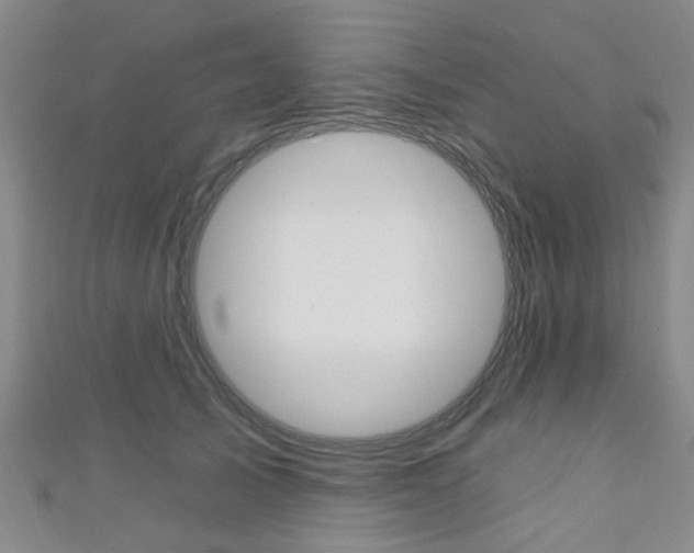 X0000111360705200907100956