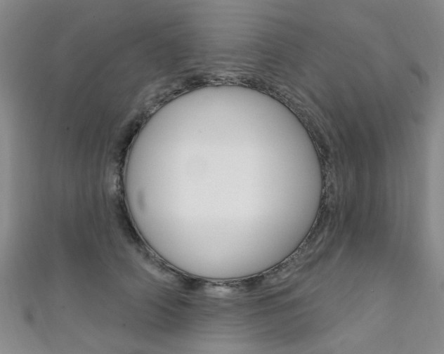 X0000111360706200907100956