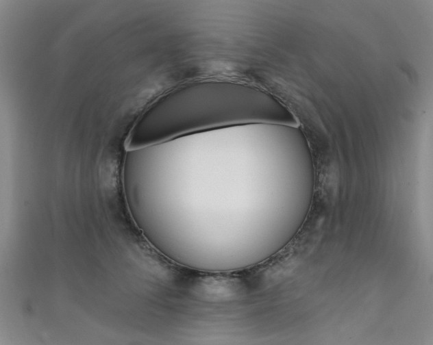 X0000111360708200907100956