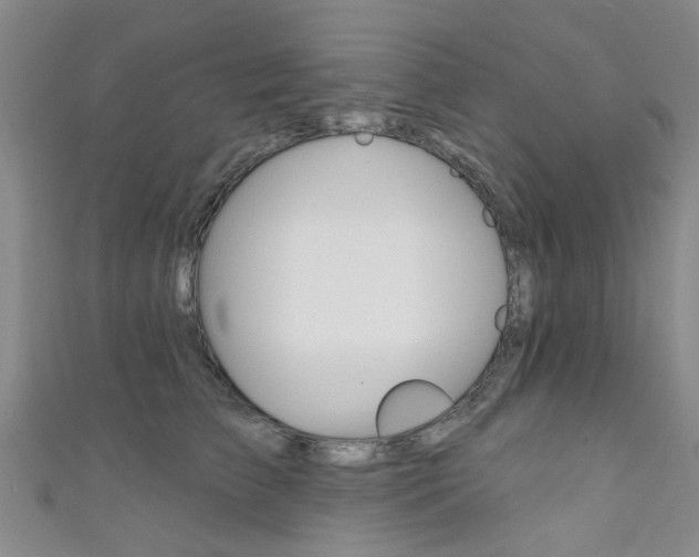 X0000111360709200907100956