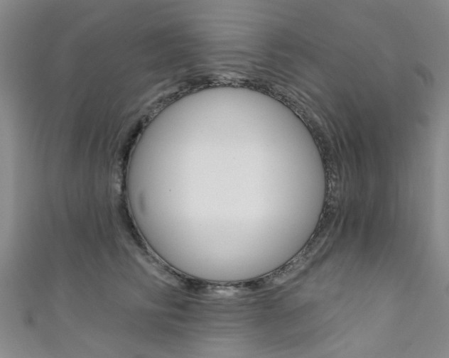 X0000111360710200907100956