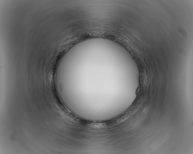 X0000111360711200907100956