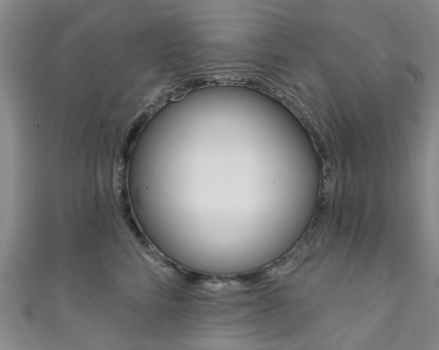 X0000111360712200907100956