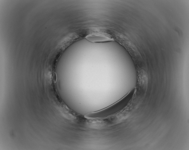X0000111360716200907100956