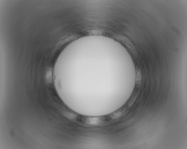 X0000111360717200907100956