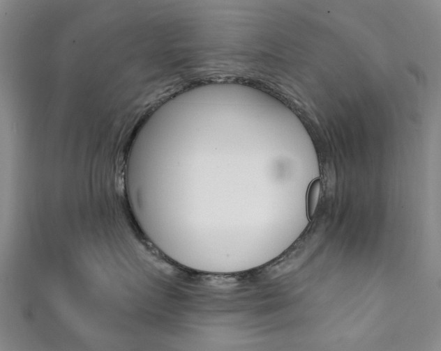 X0000111360719200907100956