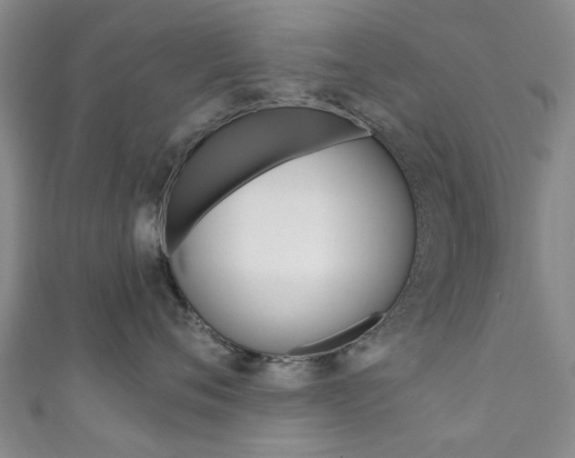 X0000111360720200907100956
