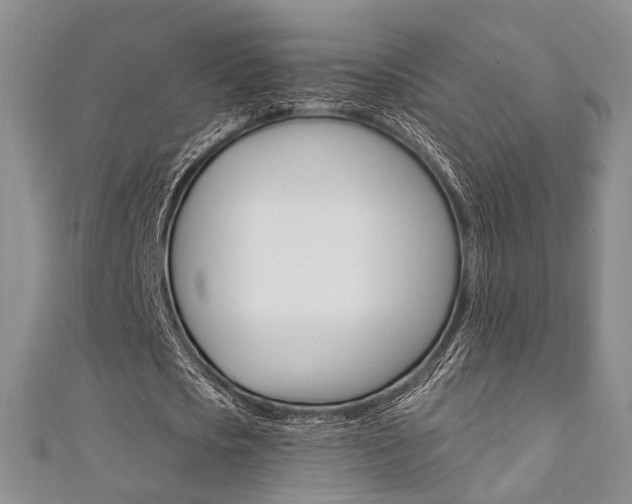X0000111360721200907100955
