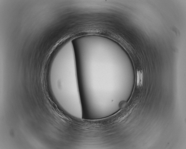 X0000111360723200907100955
