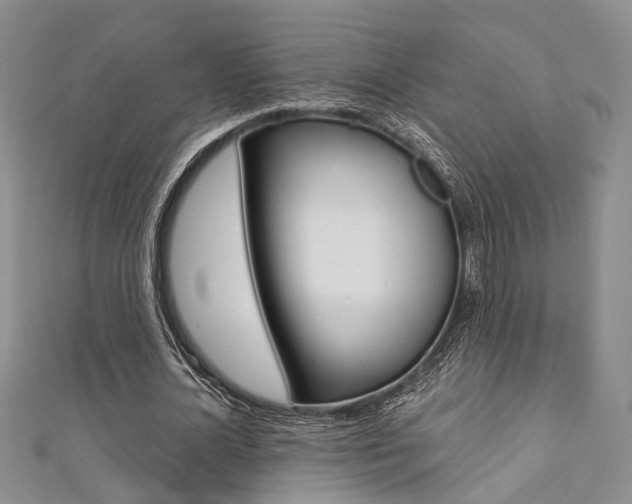 X0000111360724200907100955