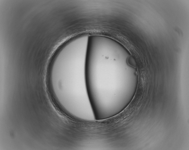 X0000111360728200907100955