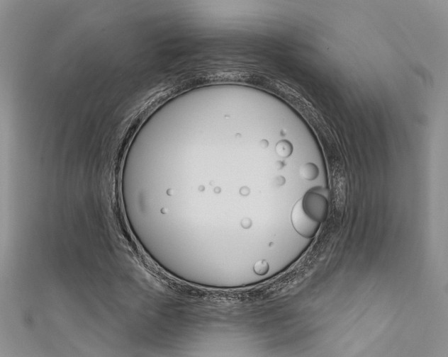X0000111360729200907100955