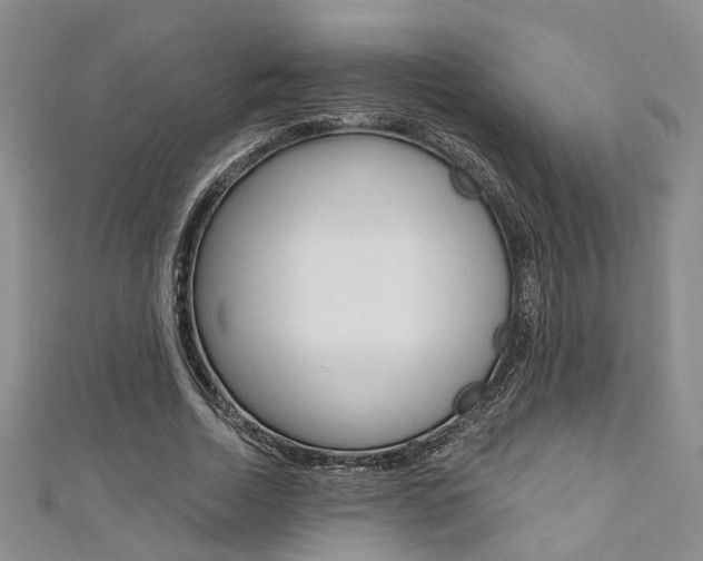 X0000111360730200907100955