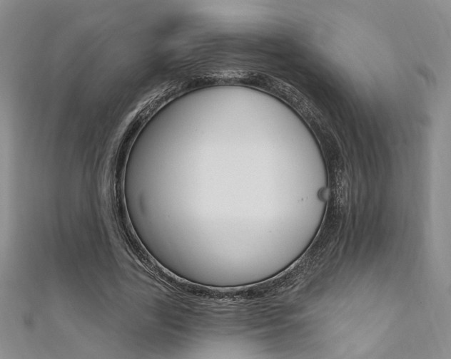 X0000111360731200907100955