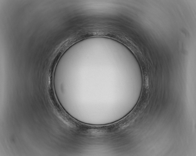 X0000111360733200907100955