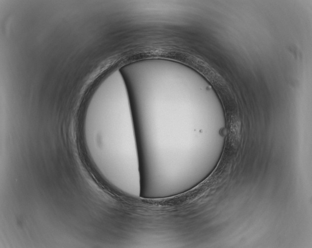 X0000111360734200907100955