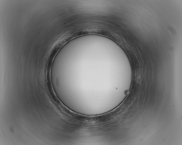 X0000111360735200907100955