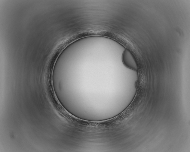 X0000111360736200907100955